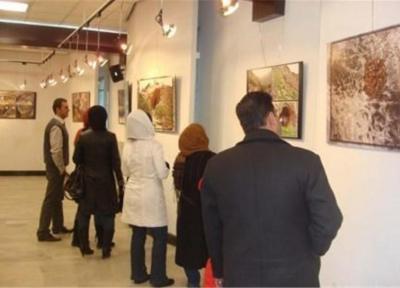 نمایشگاه جوانان و گرافیک در نهاوند برپا شد