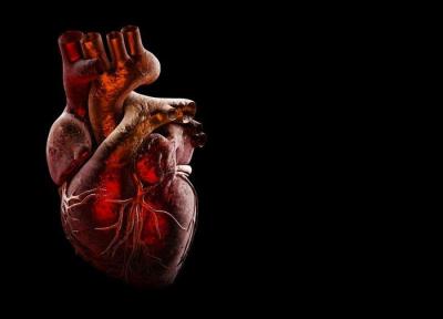 رابطه اسرارآمیز میان ویروس کرونا و قلب، کرونا ممکن است به قلب آسیب بزند