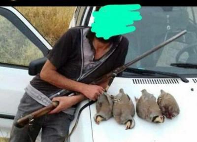 پیگیری قرارگرفتن بعضی تخلفات محیط زیستی درفهرست کارگروه معین مصادیق محتوای مجرمانه فضای مجازی