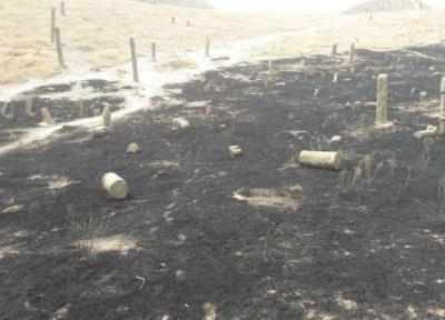گردشگران عامل آتش سوزی خالد نبی نبودند